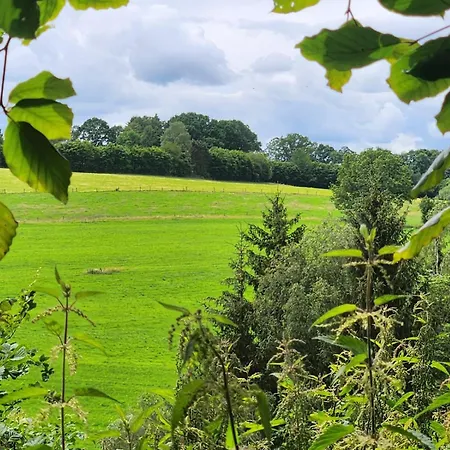 Eifel Vista *
